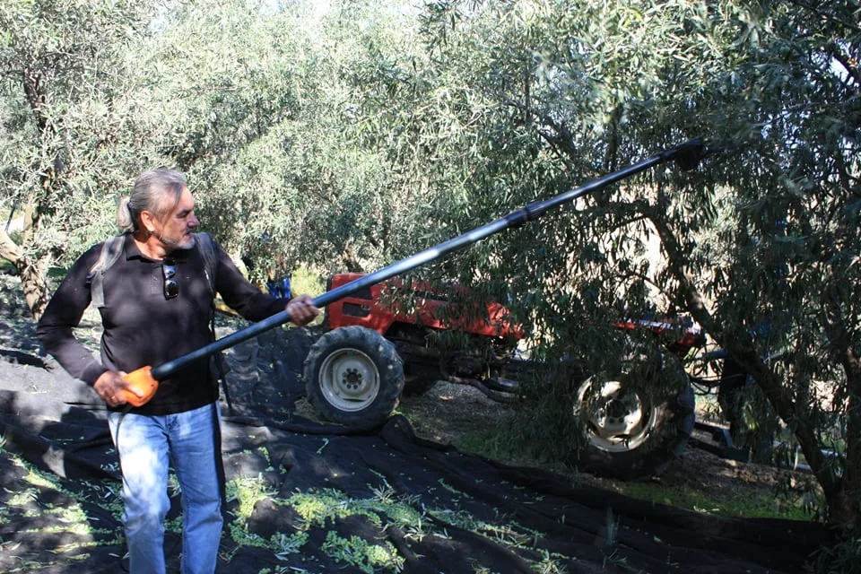 Impressions from the small Italian farms we work with